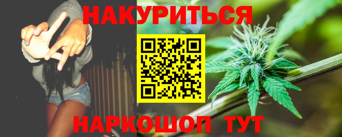 МАРИХУАНА планчик Новозыбков
